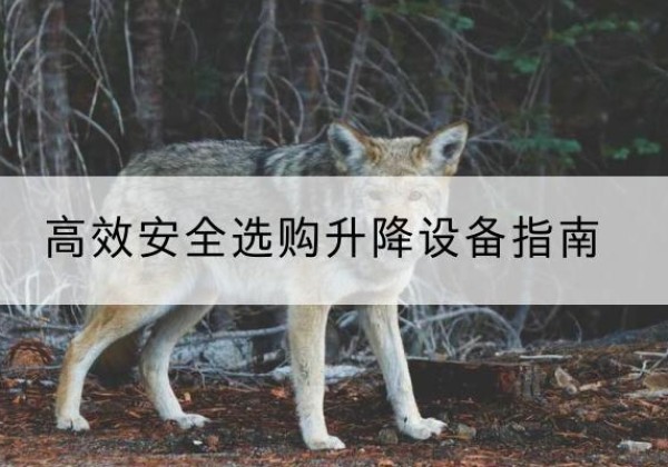 范县升降货梯厂家推荐-*安全选购升降设备指南