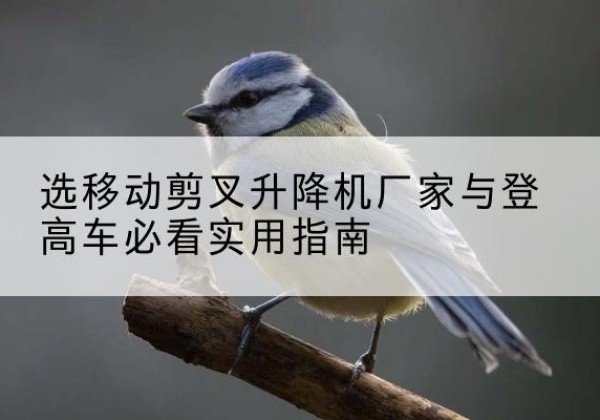 范县电动升降机厂家-选移动剪叉升降机厂家与登高车必看实用指南