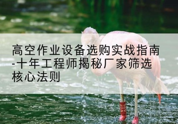 范县剪叉式升降机厂家-高空作业设备选购实战指南-十年工程师揭秘厂家筛选核心法则